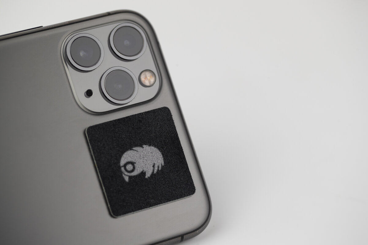 WaterBear  — view 2