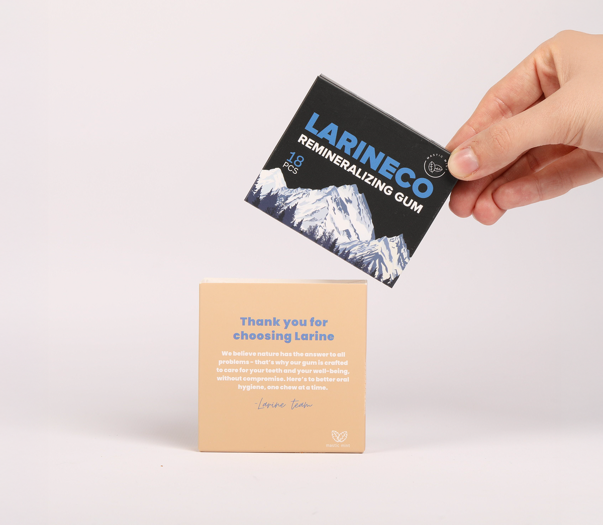 Larineco in action — demo view 2