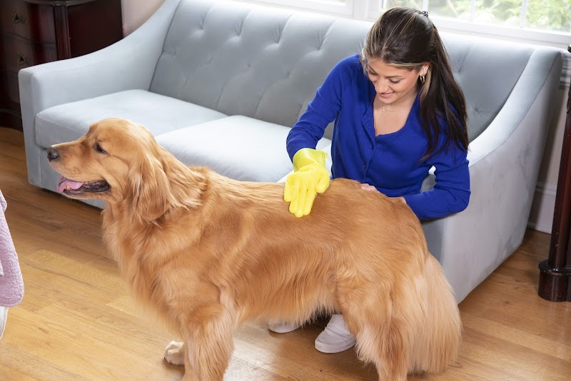 FurZapper in real-world use