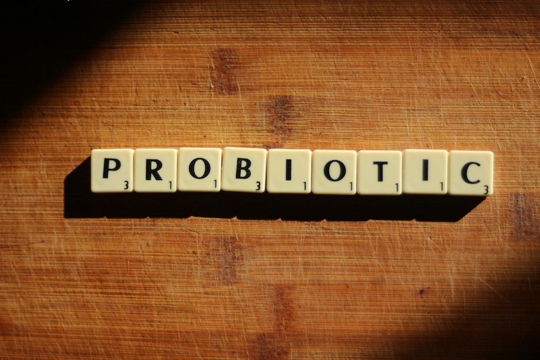 Probiotic Beneficial Gut Bacteria Science The word probiotic spelled in letter tiles, representing the emerging science around beneficial gut bacteria like Akkermansia muciniphila