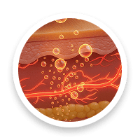 Natural Craving Control for Women — Purisaki Berberine Patch Ingredients 2026 Natural craving control women — transdermal patch ingredients visual