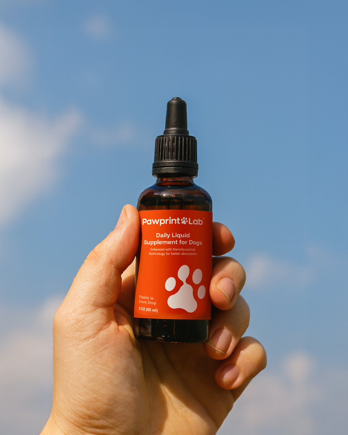 Best Dog Longevity Supplements of 2026: Top 5 Picks for Senior Dogs