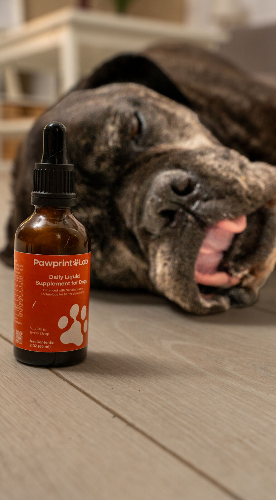 Veterinarian endorsing Pawprint Protocol dog longevity supplement