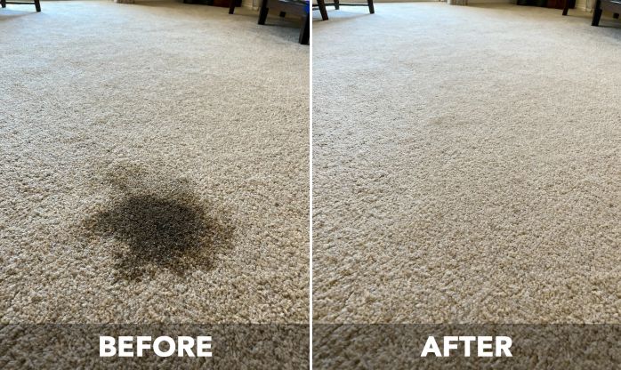 CAMPANELLI Pro Series Stain Remover Application 2026 CAMPANELLI Pro Series Stain Remover being applied to a carpet stain
