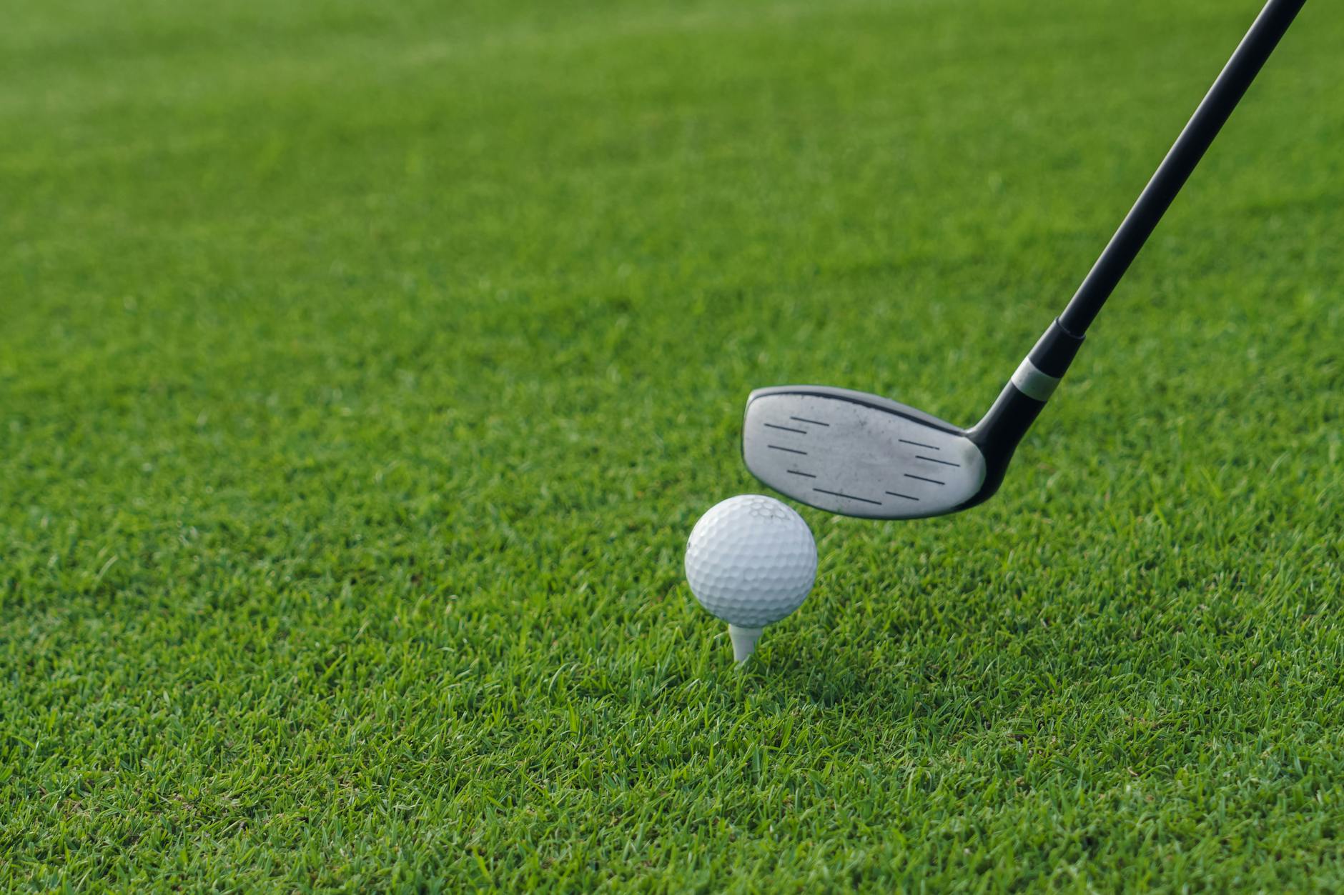 Correct Golf Tee Height Setup for Driver Golf club poised behind a golf ball sitting on a tee in lush grass