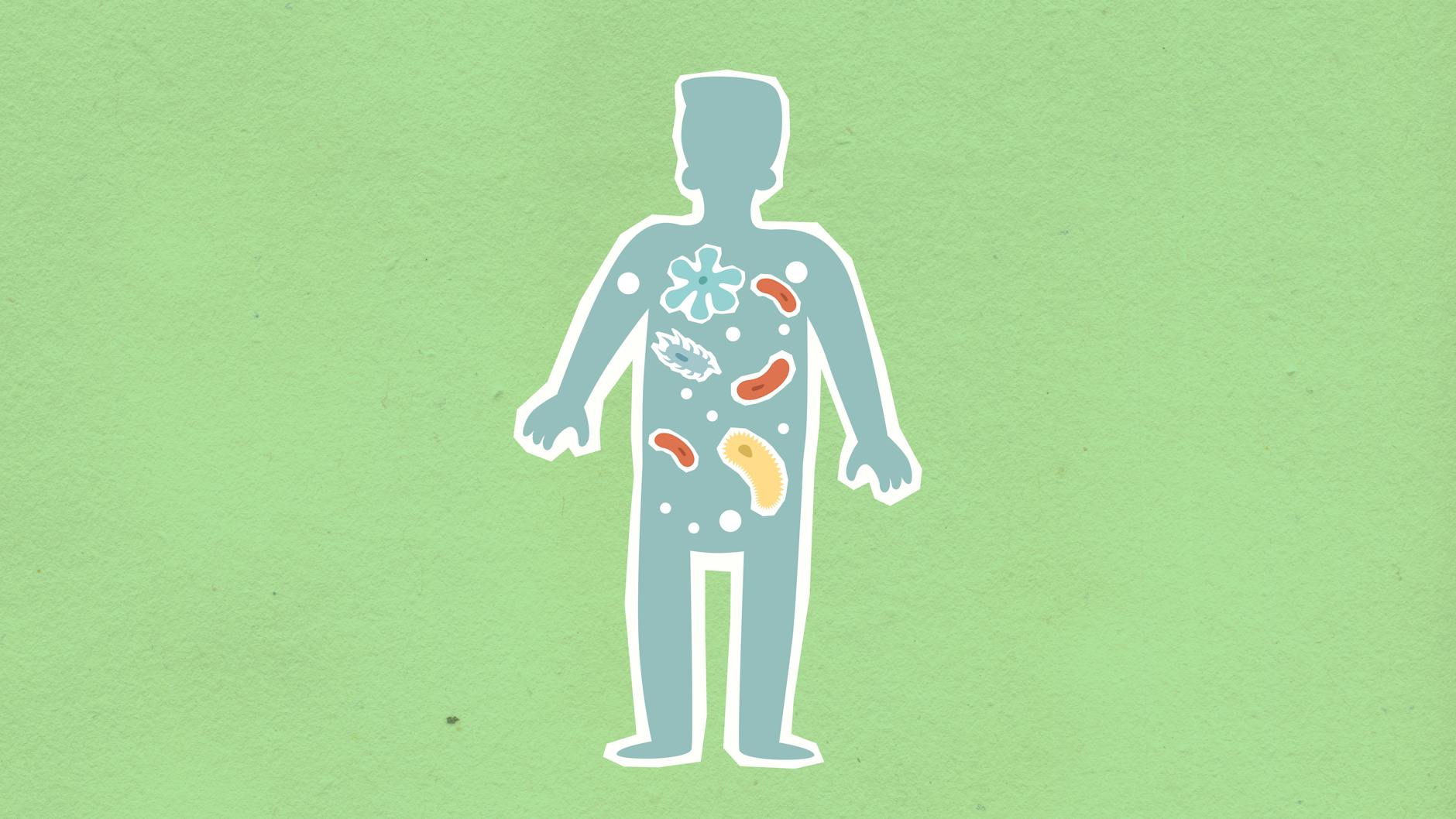 Gut Bacteria and the Body - Gut Liver Axis Illustration showing bacteria spreading through the human body, representing the gut-liver connection