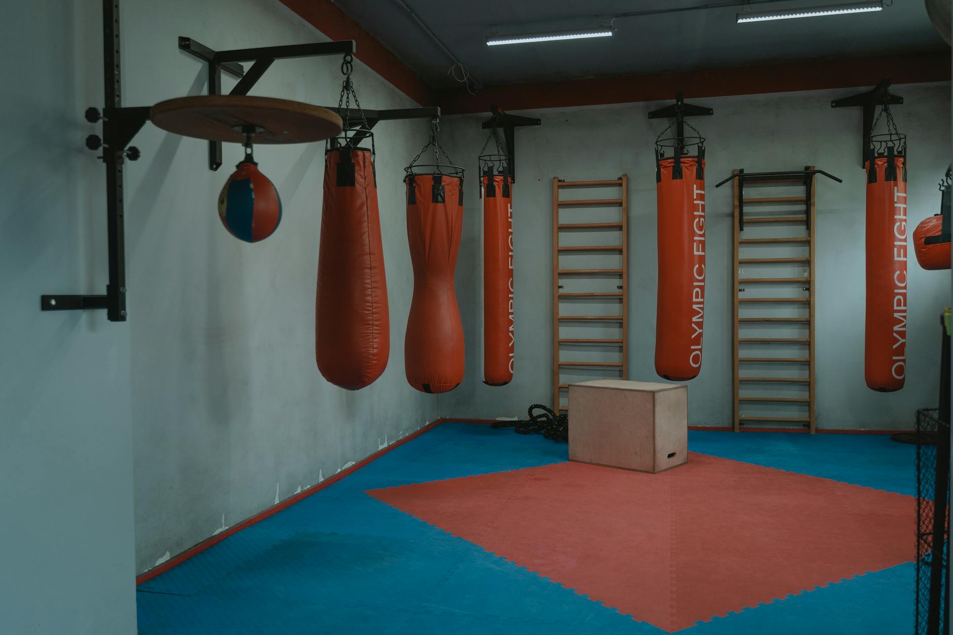 Well-equipped gym interior with organized fitness equipment