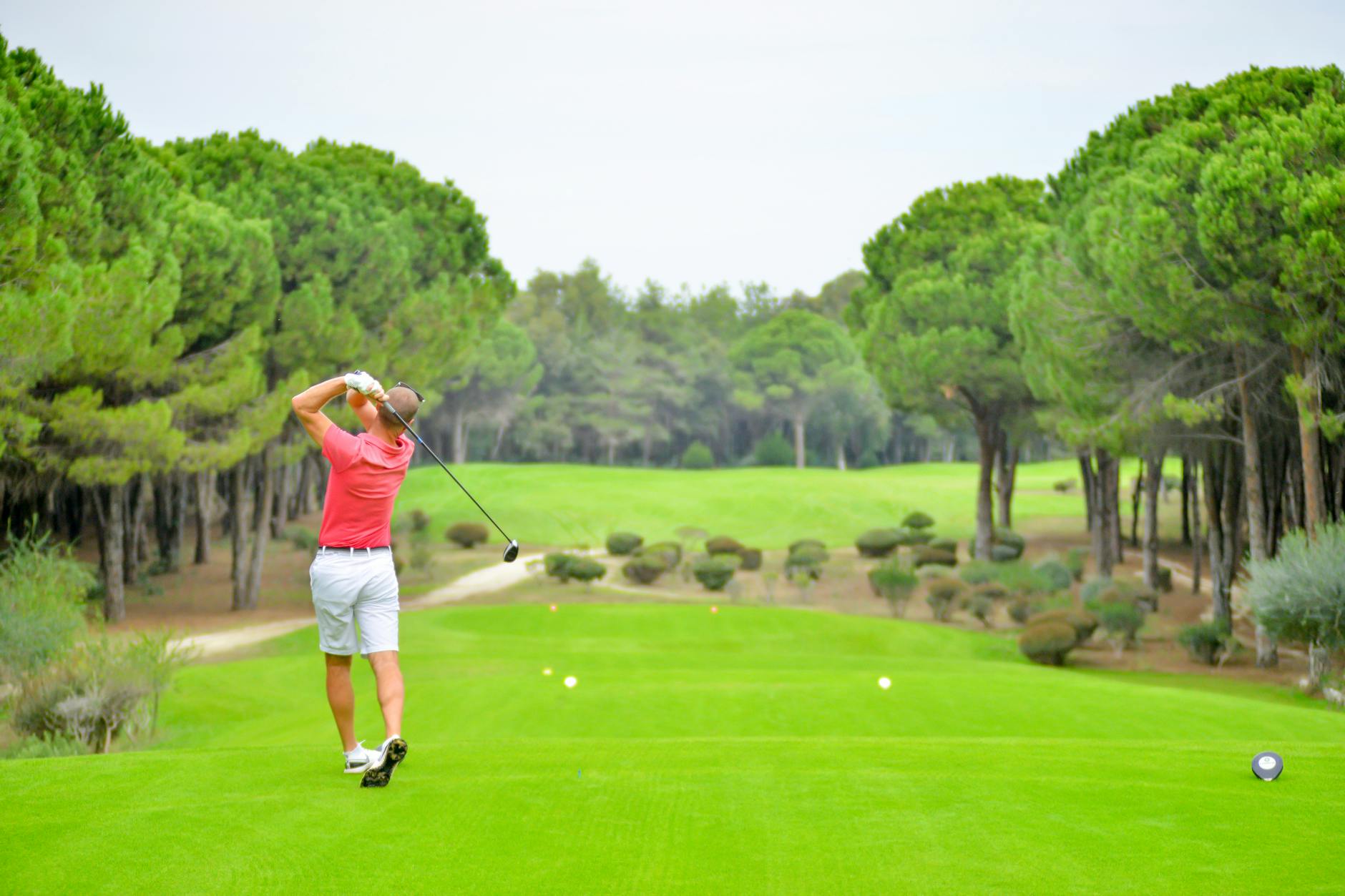 Golfer viewed from behind executing a full driver swing on a lush golf course