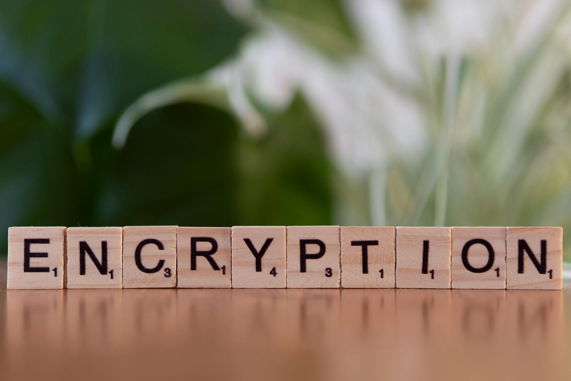 Wooden blocks spelling 'encryption' representing data security and privacy protection