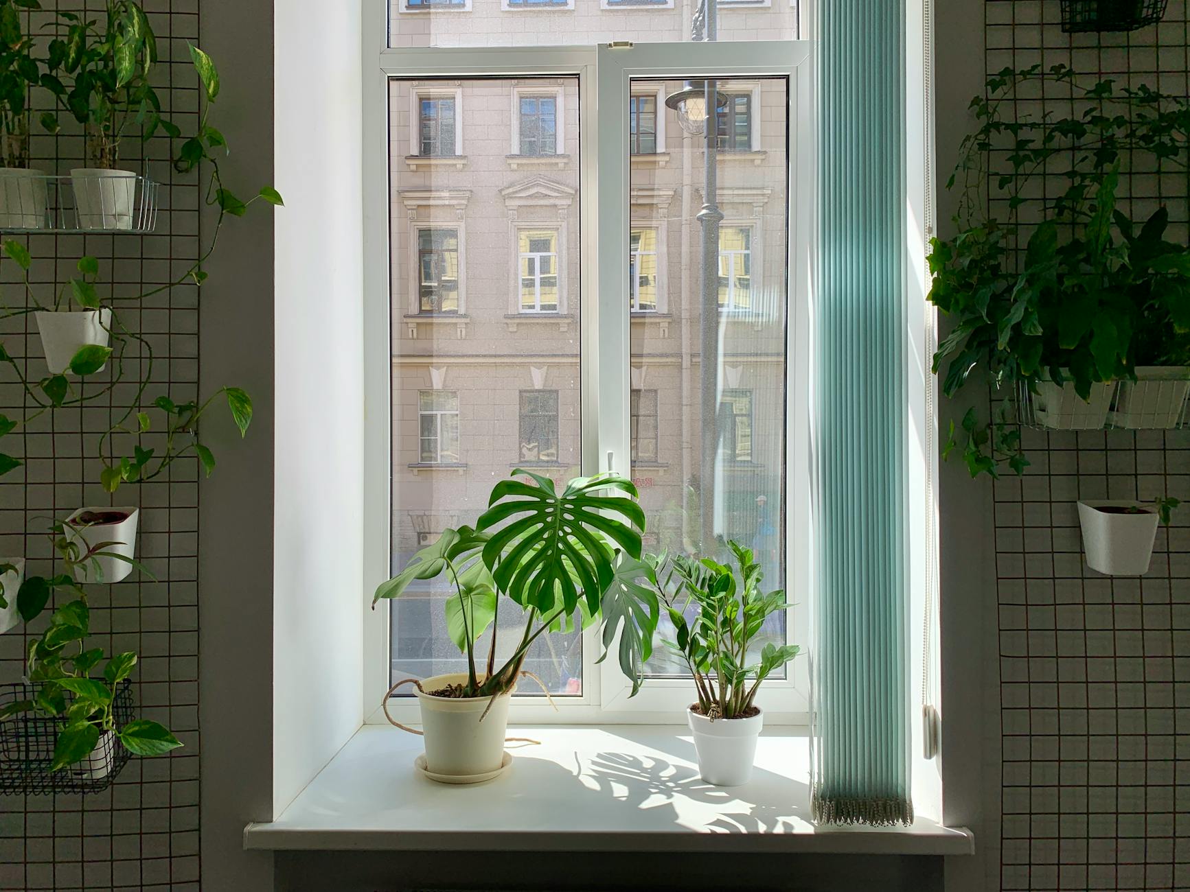 Indoor Air Quality at Home: What's Polluting Your Air and How to Fix It