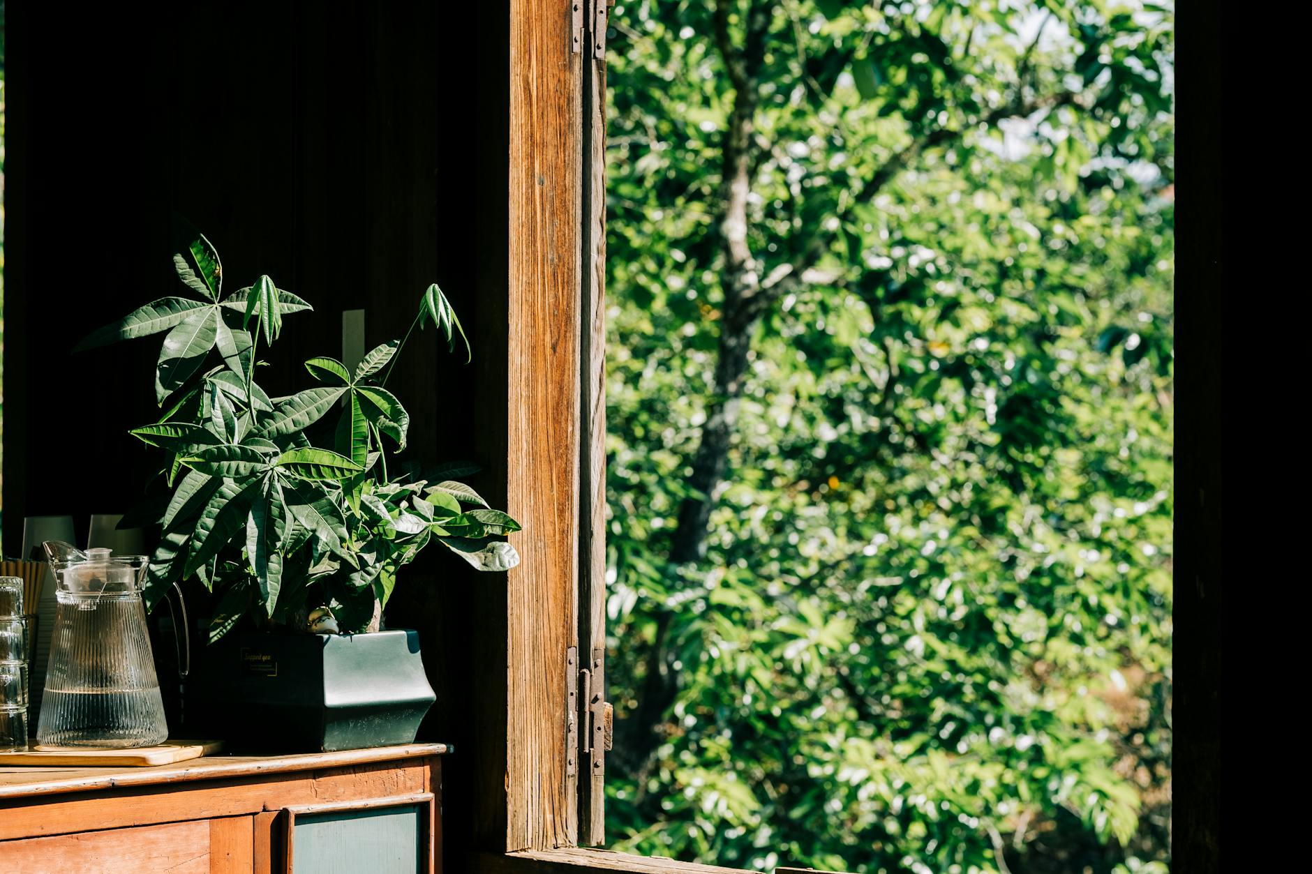 Open Window Ventilation for Indoor Air Quality Improvement Sunlit room with an open window and indoor plant showing fresh air ventilation
