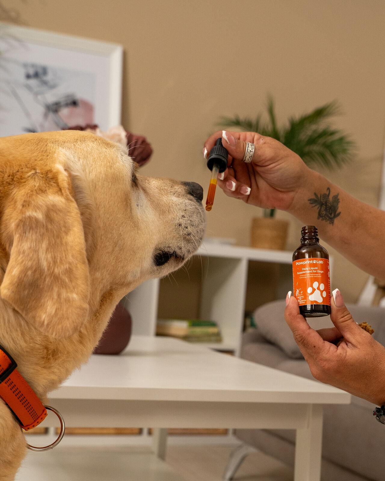 Veterinarian smiling and speaking about Pawprint Protocol dog supplement