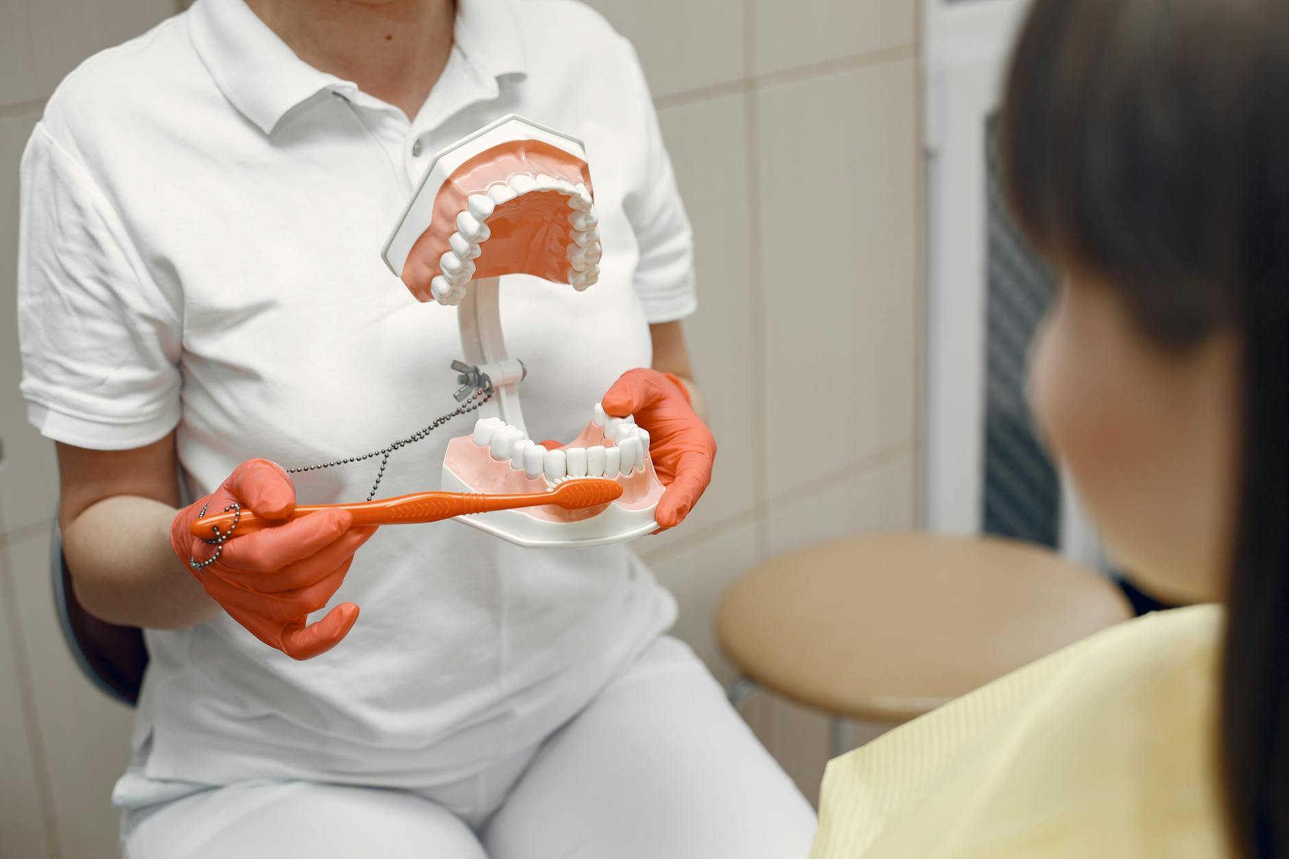 Dentist Toothbrush Technique Recommendation Dentist demonstrating proper toothbrush technique using a dental model to a patient