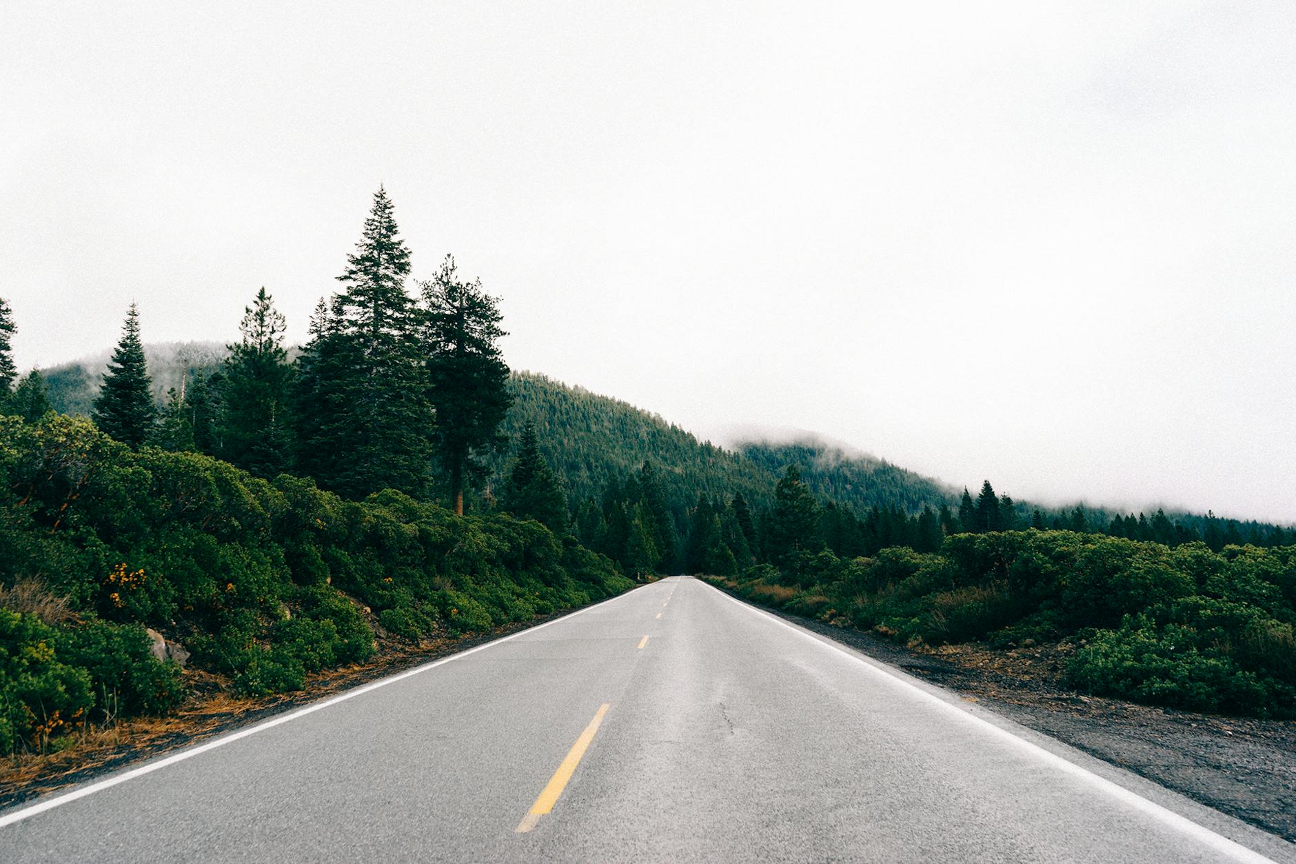 NCAA Tournament Road Trip Between Host Cities Open highway stretching through a forest landscape on a road trip