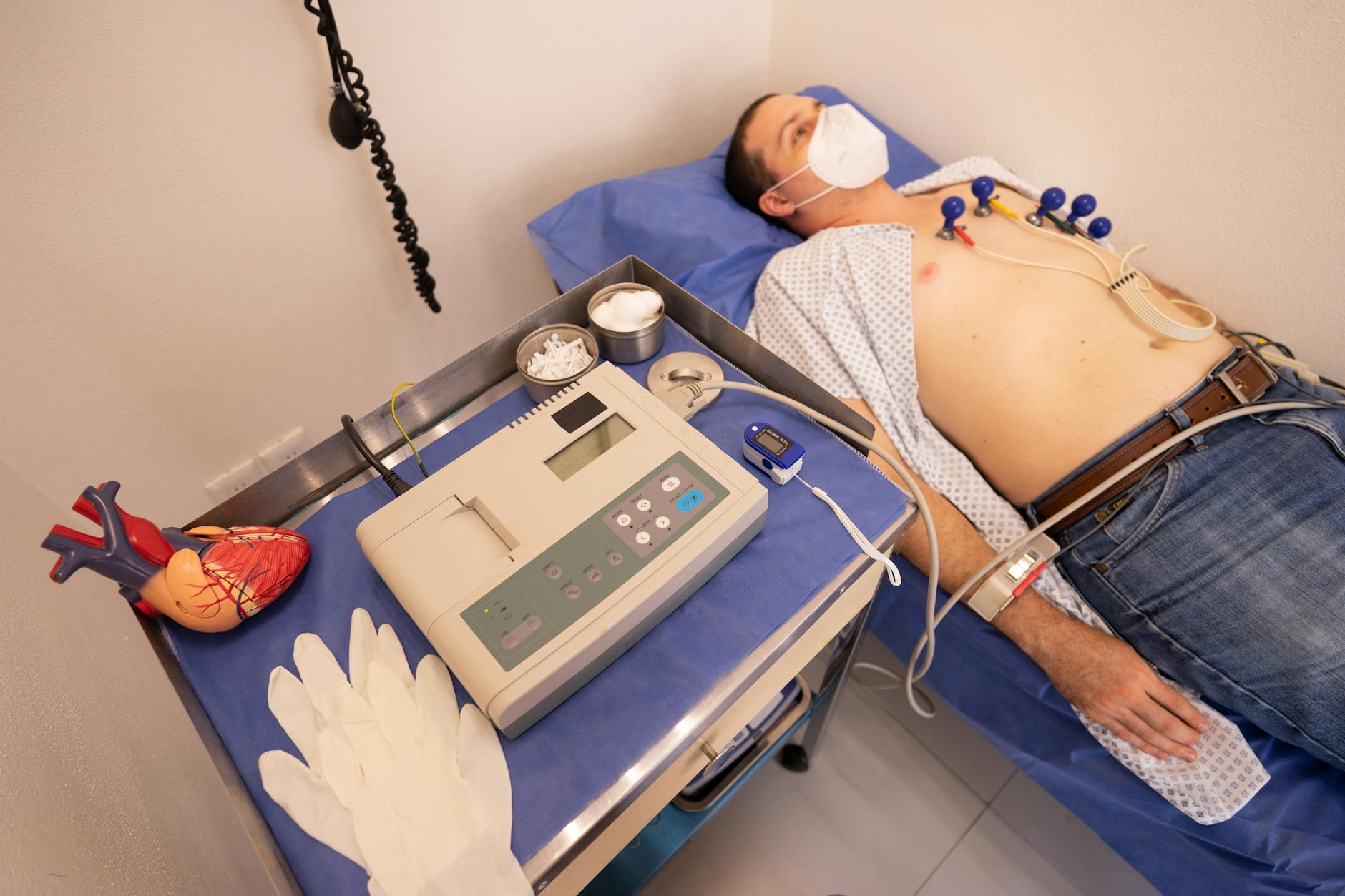 The Link Between Oral Bacteria and Heart Disease: What the Research Actually Shows