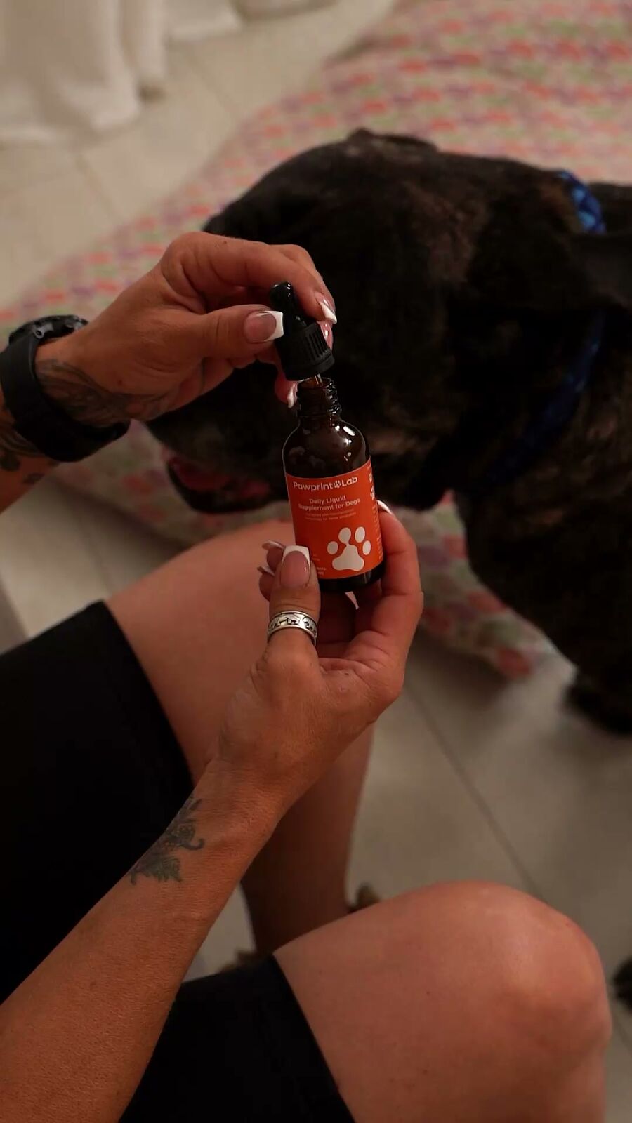 Pawprint Protocol Review 2026: Does This Dog Longevity Supplement Actually Work?