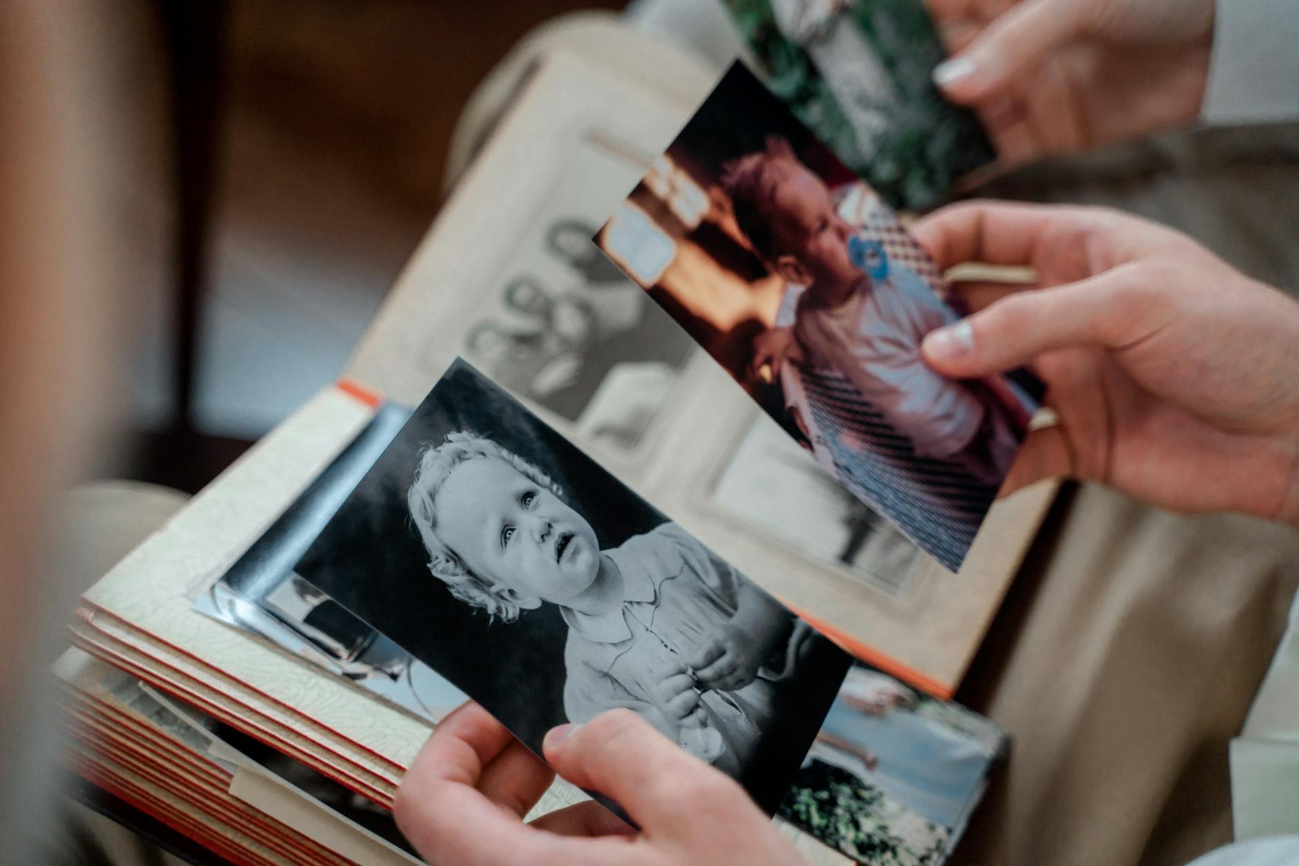 Irreplaceable Family Memories Deserve a Backup Plan Hands carefully examining nostalgic family photographs in a photo album — the kind of irreplaceable memories that digital photo backup tips are designed to protect