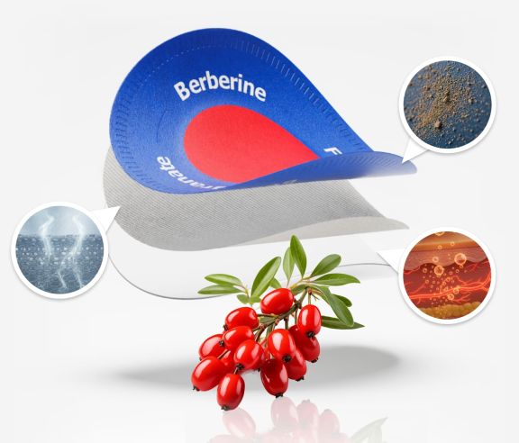 Purisaki berberine patch craving control — illustration showing appetite and sugar craving reduction with transdermal berberine delivery