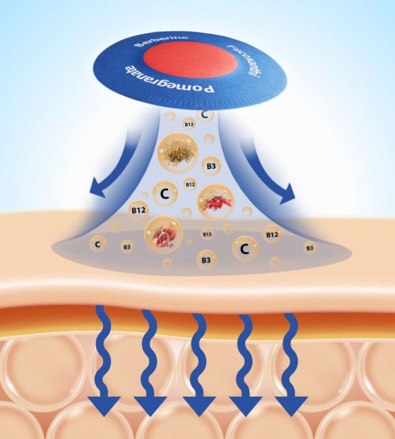 Purisaki berberine patch how it works — transdermal delivery mechanism diagram showing BreathFlex comfort layer, ComfyProtect biodegradable outer layer, and berberine kernel release core