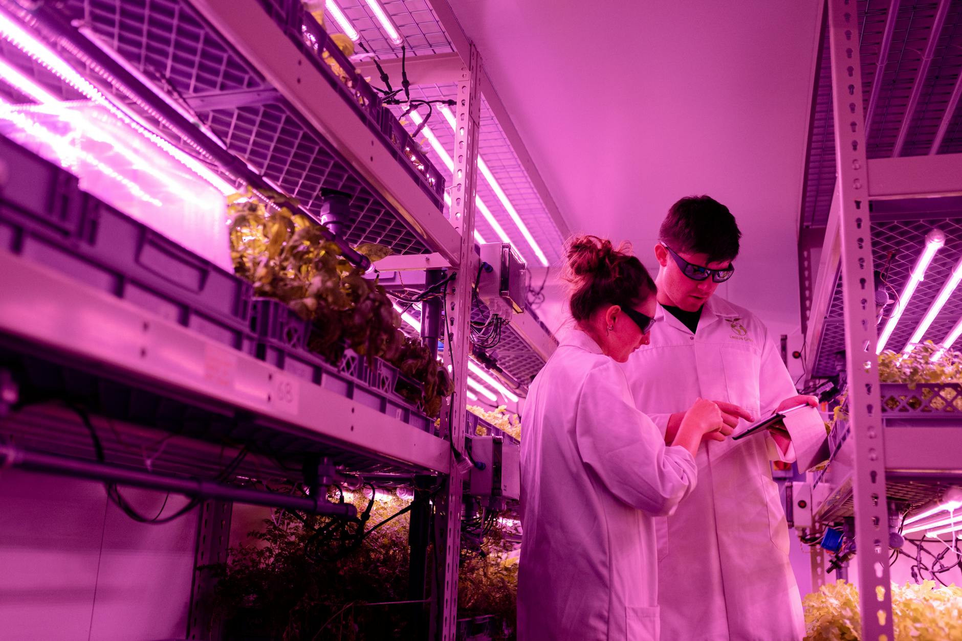 UV-C Light Technology Explained: How It Kills Bacteria and Viruses