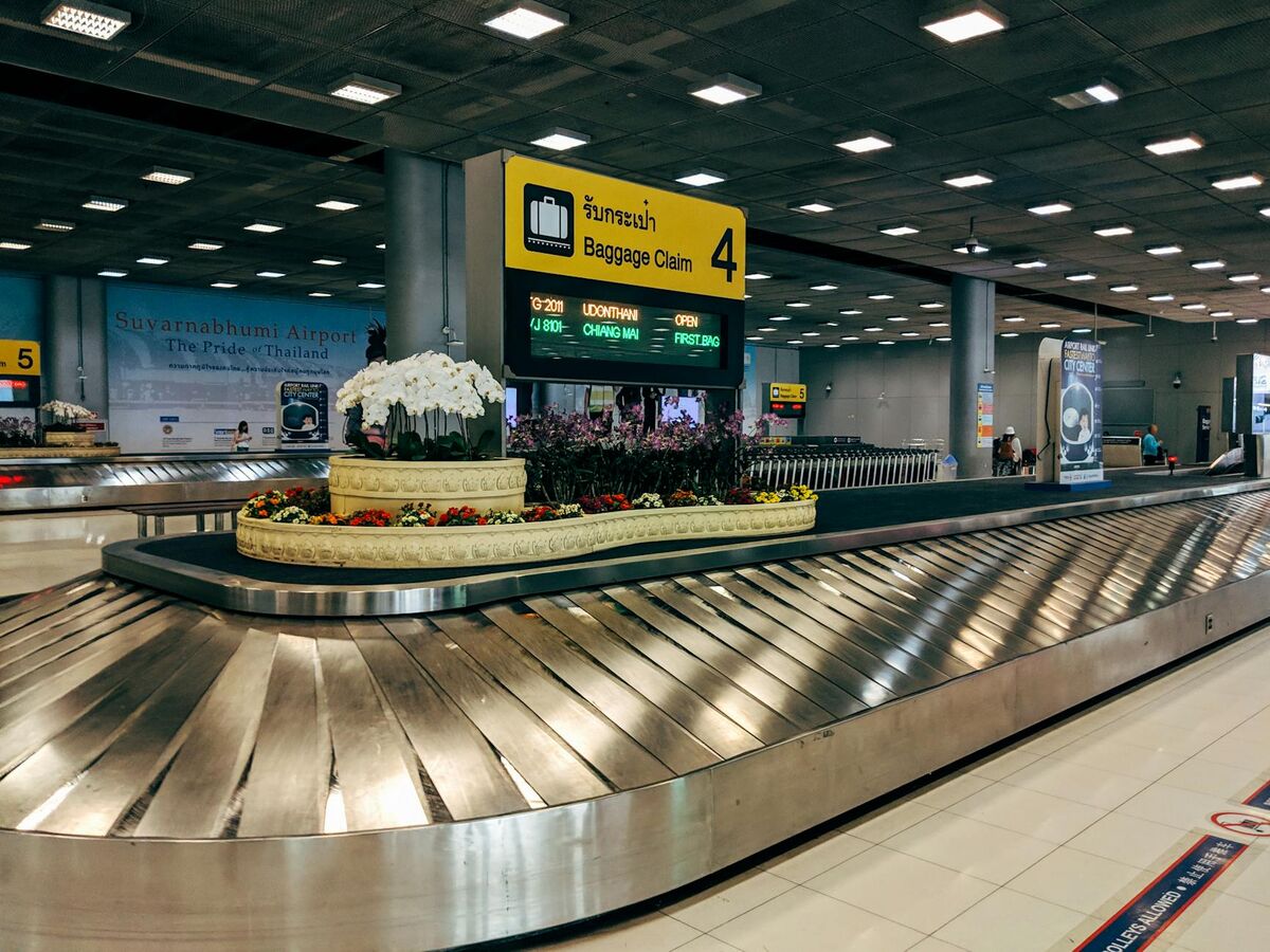 What Happens to Your Luggage After You Check It In (And How to Protect It)